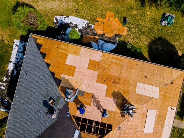 Best Roof Gutter Cleaning  in Dobson, NC
