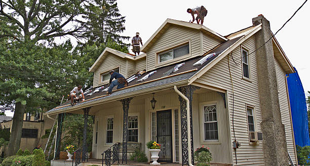 Best Roofing Contractor Near Me  in Dobson, NC